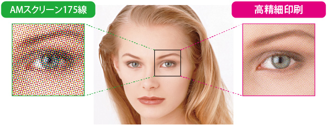 「AMスクリーン175線」と「高精細印刷」の印刷物比較イメージ