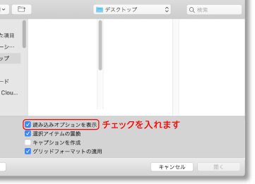 配置するデータを選択する際「読み込みオプションを表示」にチェック